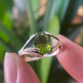 The Clivia Ring